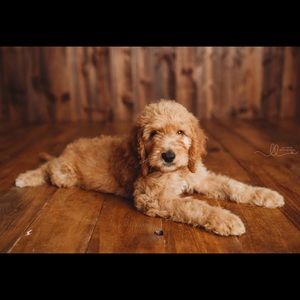 Meet your Posher, Erika